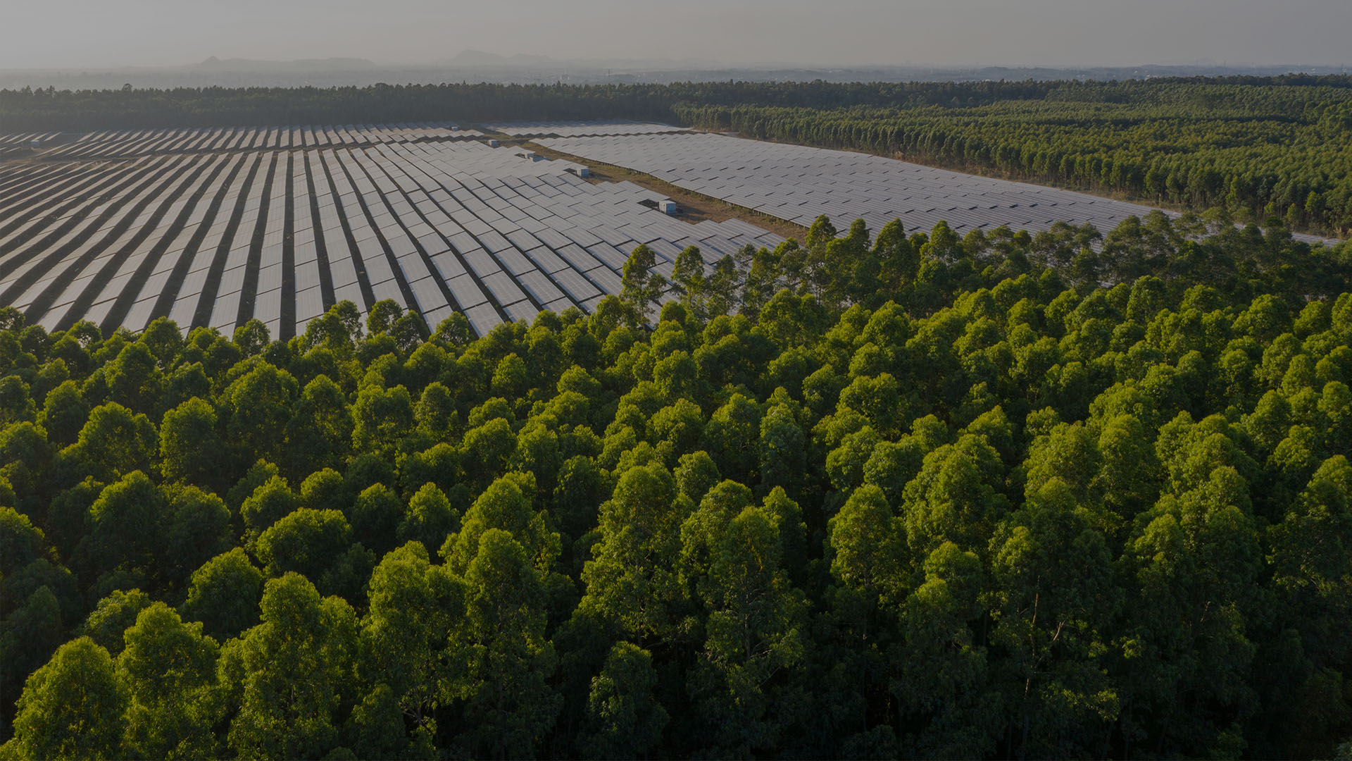 Você está visualizando atualmente Energia solar ultrapassa 18 gigawatts e mais de R$ 93 bilhões em investimentos no Brasil, informa ABSOLAR